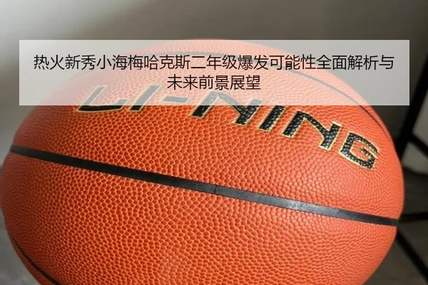 热火新秀小海梅哈克斯二年级爆发可能性全面解析与未来前景展望